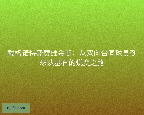 戴格诺特盛赞维金斯：从双向合同球员到球队基石的蜕变之路